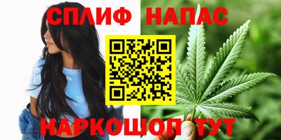 каннабис Кунгур